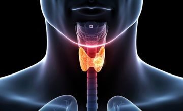 Курс лечения онкологии щитовидной железы